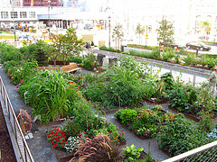 urban gardening - flickr